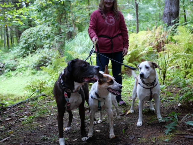 Group trail walk with Lisa
